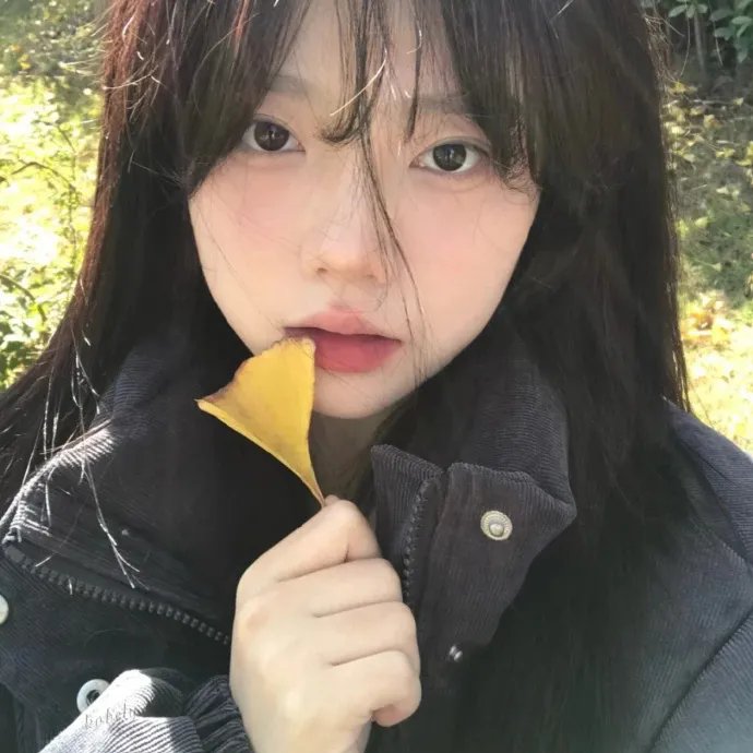 马克辛的归来